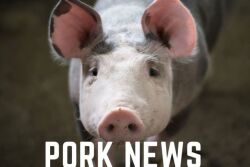 PORK News Headlines