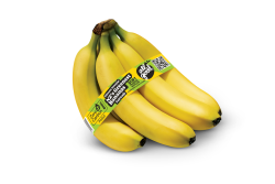 all good bananas