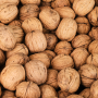Walnuts in shell