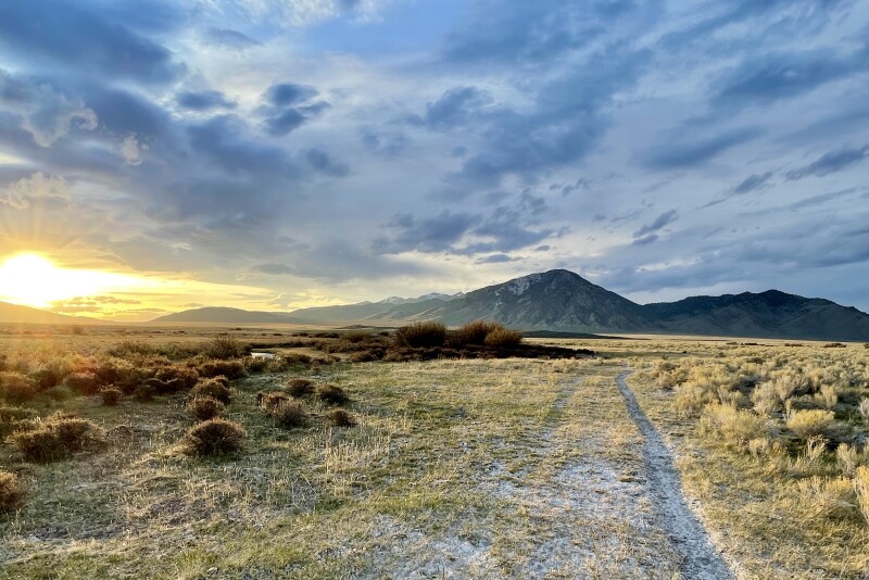 Idaho