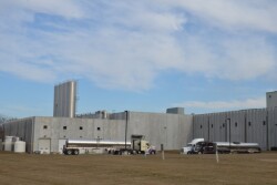 DT_Dairy_Processor