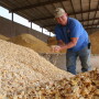 California_dairy_producer-farmer