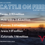 Cattle on Feed Statistics