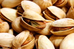 The United States is generally the second-leading producer and exporter of pistachios behind Iran, providing 24 percent of the world total.