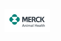 Merck