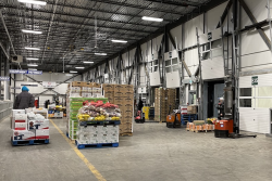 Inside Ontario Food Terminal, masked guy