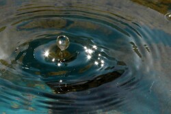 Water Droplet