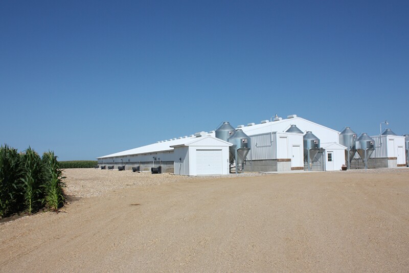 Pig barn