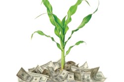 One possibility for USDA would be to tap the Commodity Credit Corporation (CCC) Charter Act, the so-called ATM machine for aggies. One source asked: Would any fertilizer aid come in time to impact corn plantings?