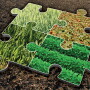 acreage puzzle