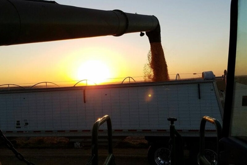 Harvest in Jackson County, Iowa