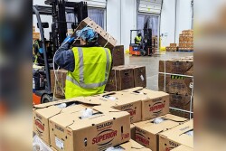 Produce loading at Superior Sales Inc.