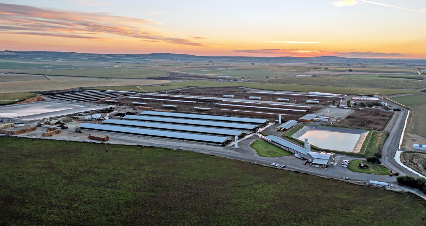 Ebf Farming Roya Washington Grower Shares How To Scale Regenerative Farming - Drovers