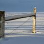 snow-1342457-1599x1070