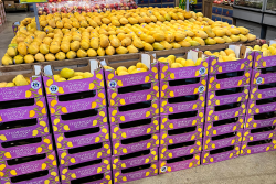 Ciruli Bros. Champagne mangoes display