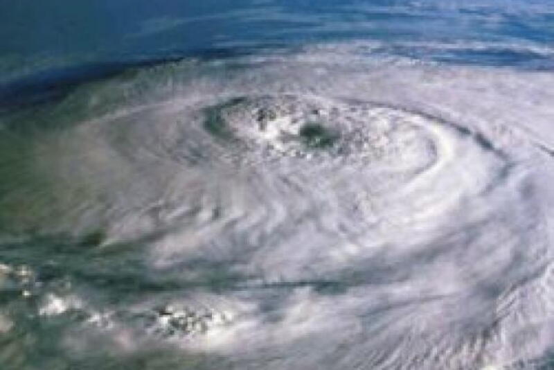 “They don't want it all blown flat in the field,” she said. “They're hoping they're going to come out a little bit better than last year after Hurricane Florence.”