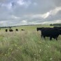 G Bar C Ranch