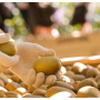 Zespri shipped bigger volumes of New Zealand SunGold kiwifruit in 2019 than Zespri Green.
