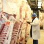 Beef Carcasses