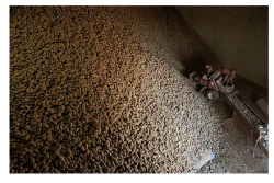 The organization has moved thousands of potatoes from the farm to people who need them.