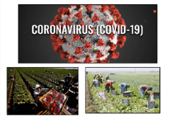 Coronavirus image