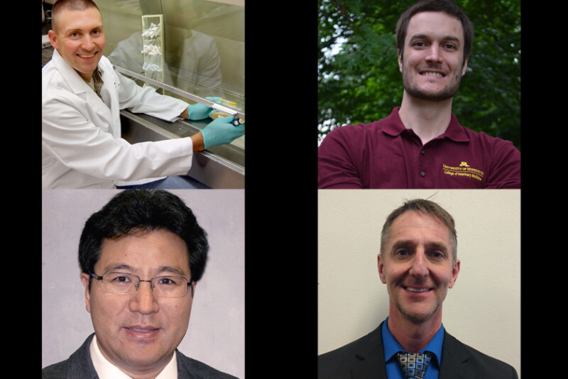 Research AASV Winners