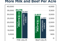 More-Milk-800x640.png