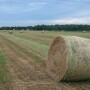 round_hay_bales