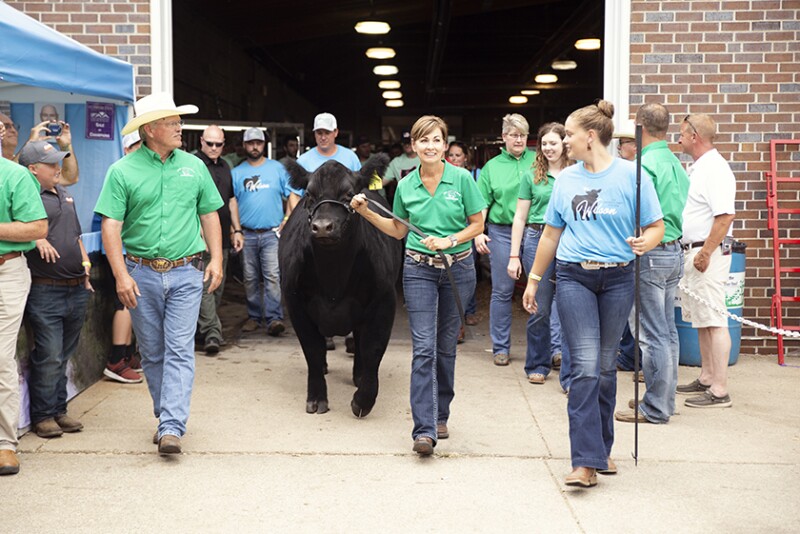 IA_Gov_Charity_Steer_Show.jpg