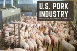 US Pork Production Analysis Summary 3