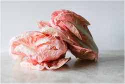 radicchio rosa.png