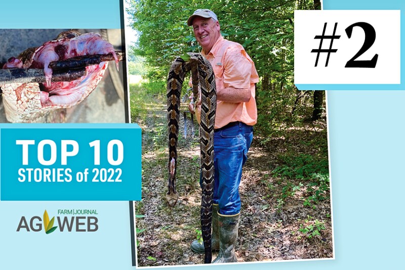  Jim Bowen Kills Two 6’-plus Timber Rattlers