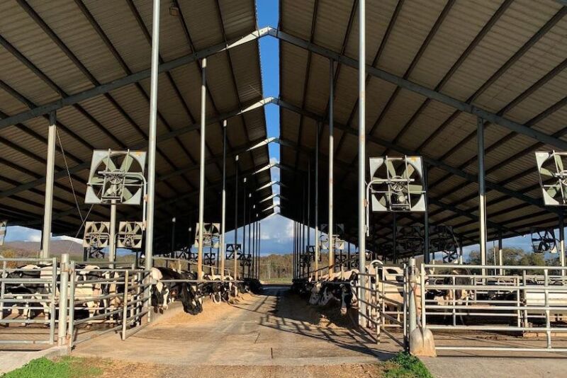Glo-Crest Dairy