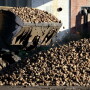 Successive cold snaps in the past week have destroyed between 30,000 and 50,000 hectares of French sugar beet, growers group CGB said on Monday, calling it the worst frost-related losses for the sector ever recorded.