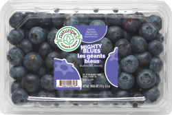 Mighty Blues