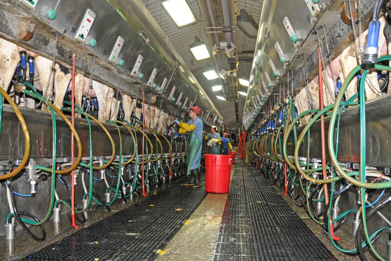 Dairies are closing partly because of changing consumer tastes and trade tensions, but mainly because the industry is continuing a century-long consolidation.