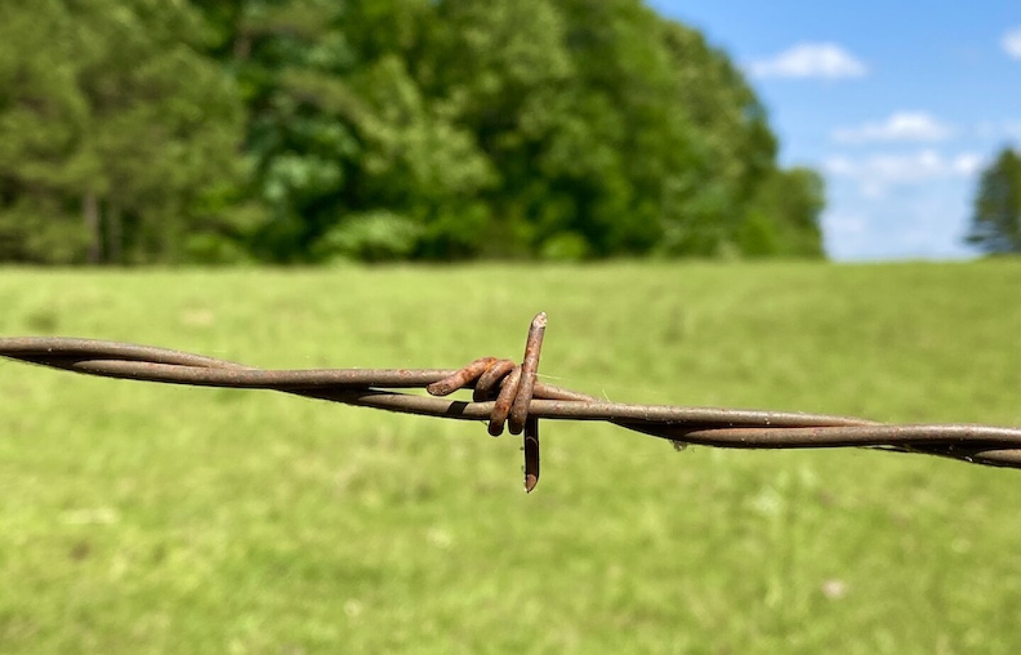 OPEN%20FIELDS%202-5-5.jpg