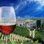 Wine Production