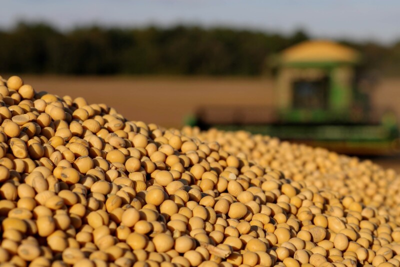 Both supply concerns and a boost in demand are helping to support commodity prices, but is now the time to sell? U.S. Farm Report marketing analysts weigh in. 