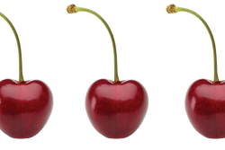 British Columbia cherries are on track for a late June start.