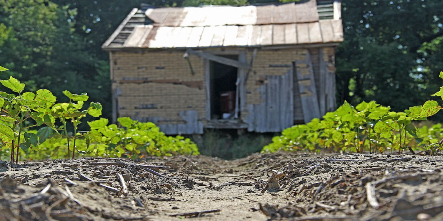 SHARECROPPER%20HOUSE%201.JPG
