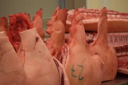 Pork.jpg
