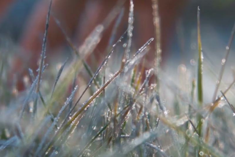 Summer-like temperatures could taper off in some growing areas this week. Cindi Clawson has your week-long forecast. 