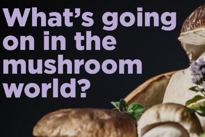 mushrooms