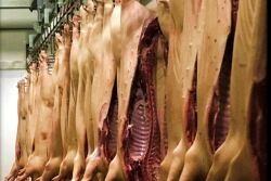 Pork