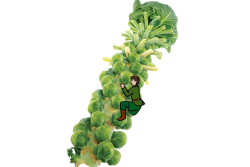 Brussels sprouts stalk with cartoon guy climbing it