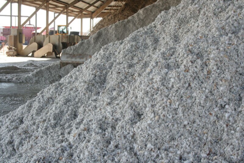 cottonseed_2011_-_Copy