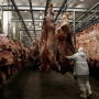 Worker injuries in packing plants are declining.