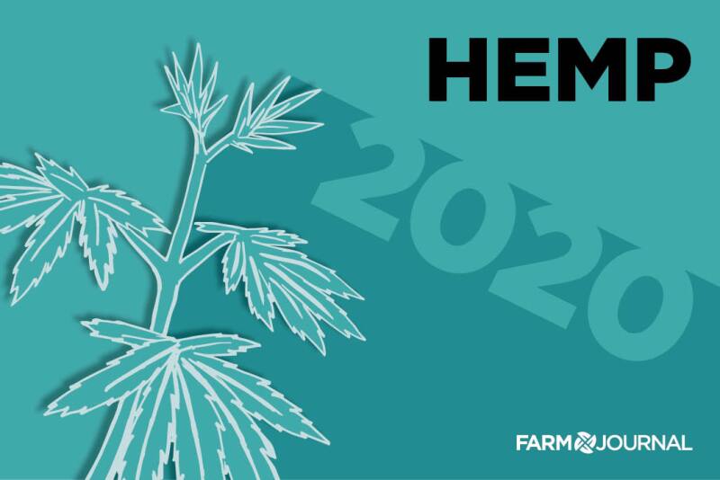 Hemp raises hopes in 2020. 