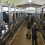 DT_Dairy_Parlor_Employees.JPG